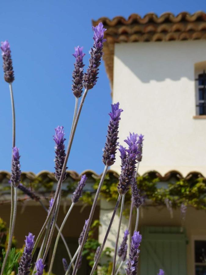 Azurea Acomodação com café da manhã Valbonne Exterior foto